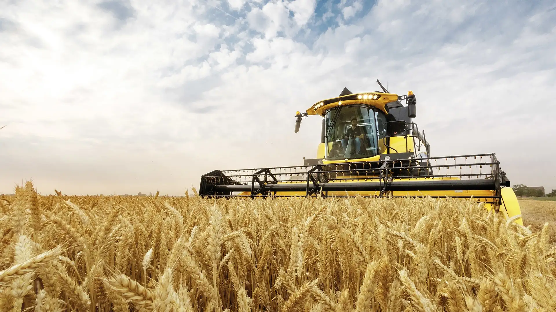 New Holland CX 5.80 Biçerdöver